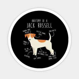 Jack Russell Terrier Dog Anatomy Magnet